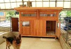 大型犬2匹が入れる犬小屋